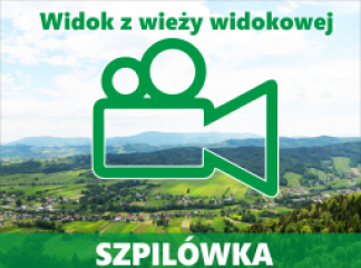 Panorama z  wieży widokowej dostępna on-line