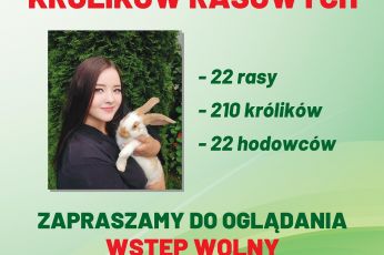 IV KLUBOWA WYSTAWA KRÓLIKÓW RASOWYCH