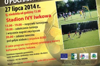 Turniej Firm w Piłce Nożnej o Puchar Wójta Gminy Iwkowa 27 lipca 2014 r.
