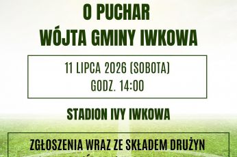 Turniej Firm o puchar Wójta Gminy Iwkowa w Piłce Nożnej