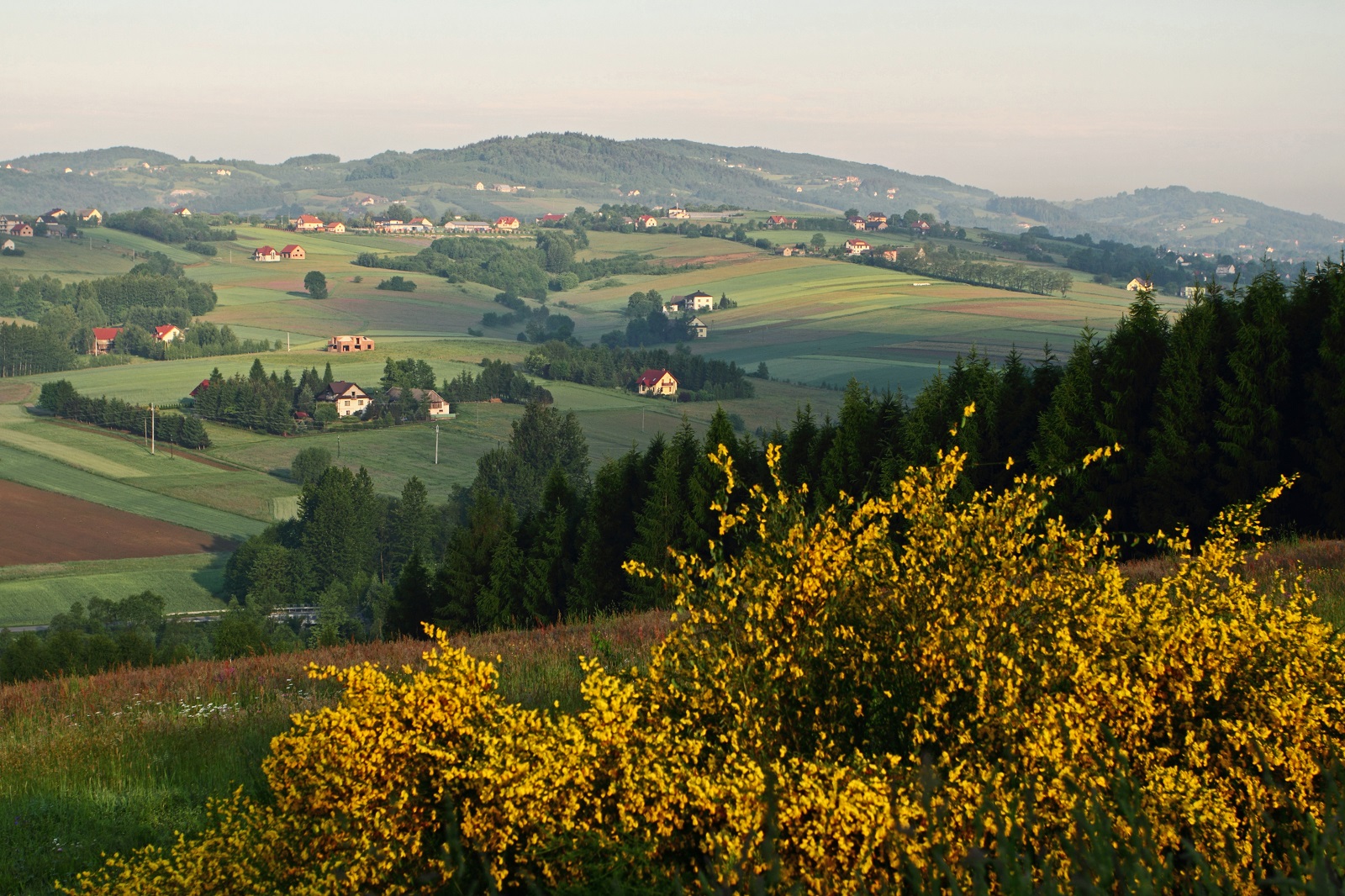 Drużków Pusty