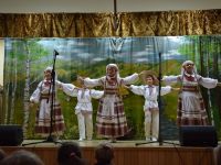 „Kwiat na kamieniu” - 2017-10-24