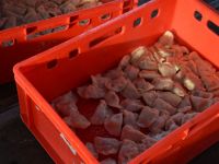 Święto Suszonej Śliwki 2019