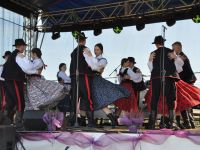 Święto Suszonej Śliwki 2019