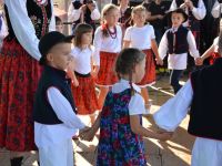 Święto Suszonej Śliwki 2019