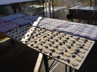 Święto Suszonej Śliwki 2019