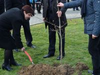 Gminne Obchody Święta Niepodległości 2016