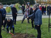 Gminne Obchody Święta Niepodległości 2016
